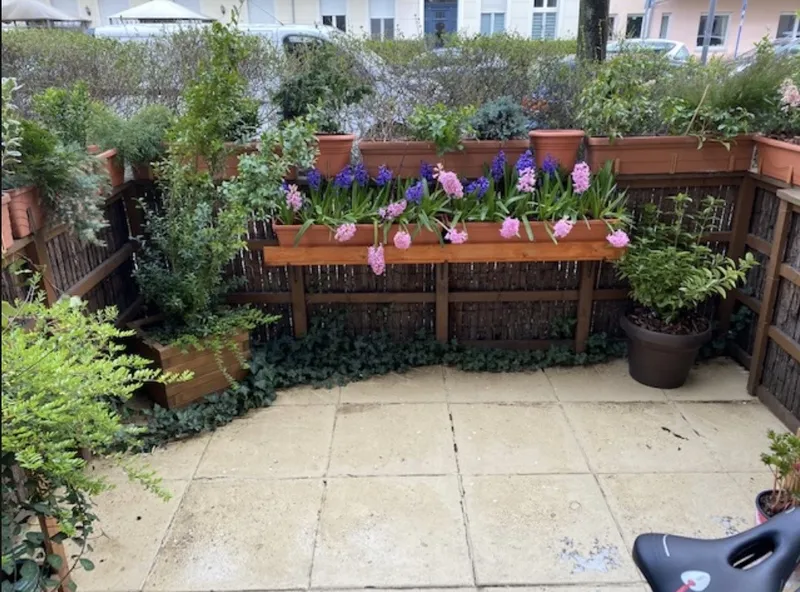 Willkommen im Komponistenviertel…befristetes Mietverhältnis — photo 1
